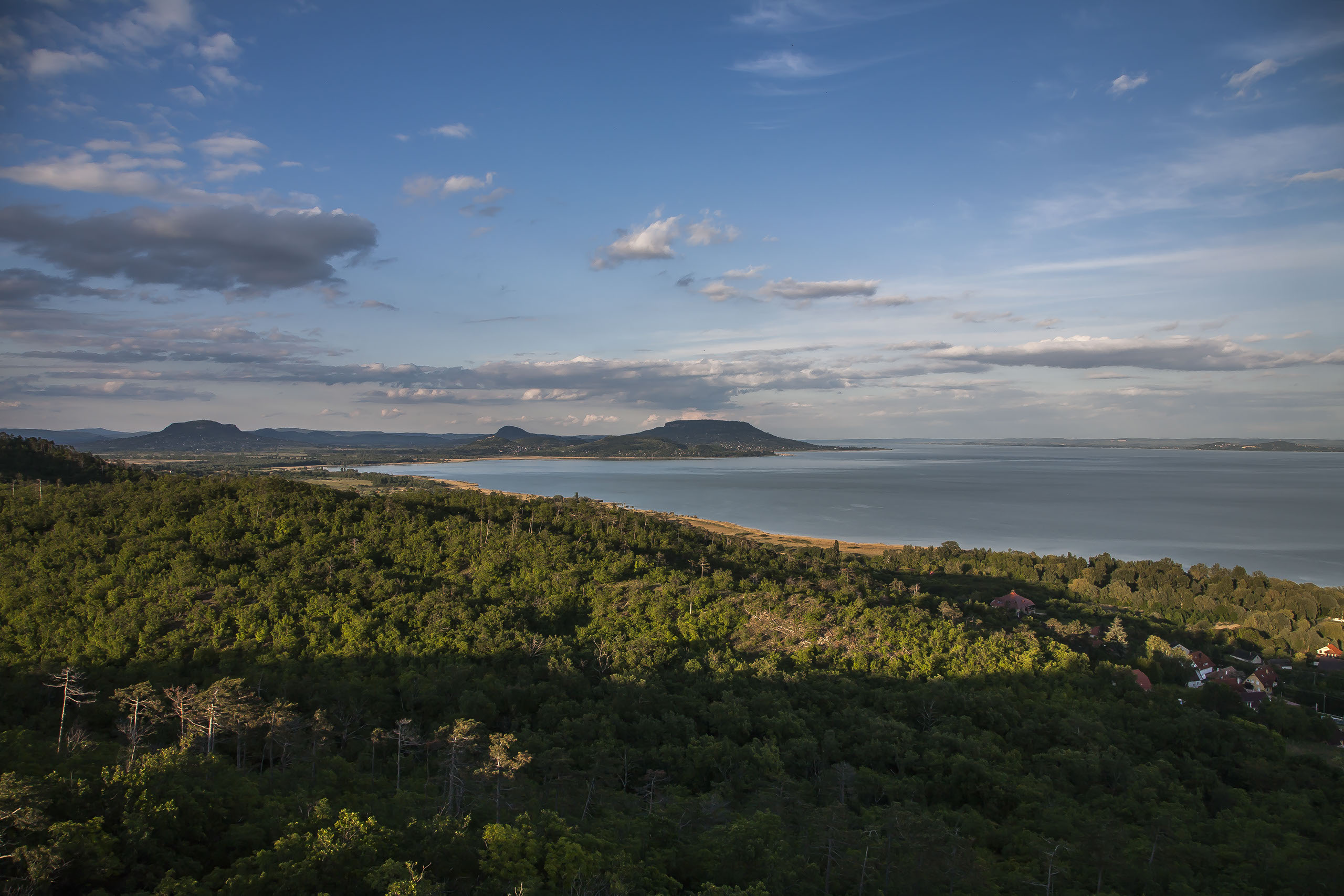 D'Oro Vin – Ihr Weingut am Balaton